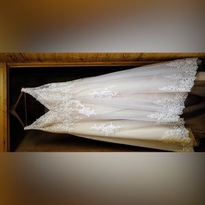 Wedding Dress: champagne color, size 20. Worn for wedding. Also matching veil.